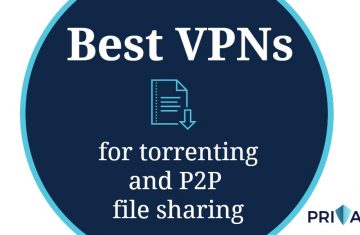 Best VPNs for torrenting and P2P file sharing-white