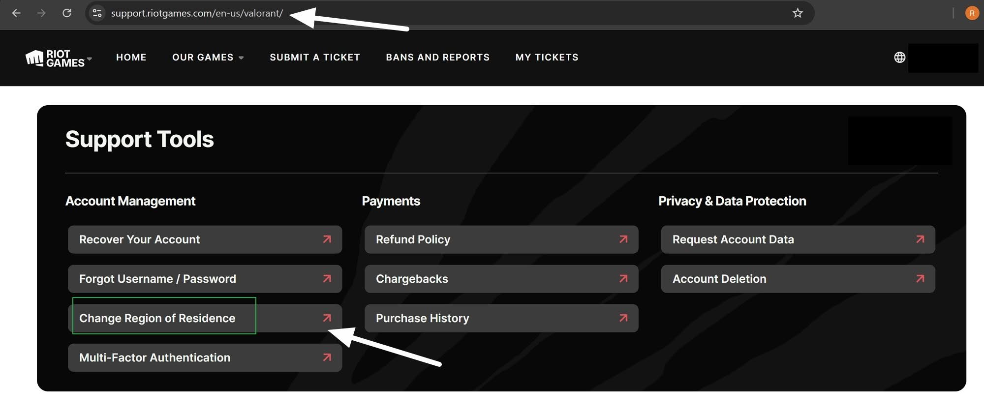 Riot Games Support Tools