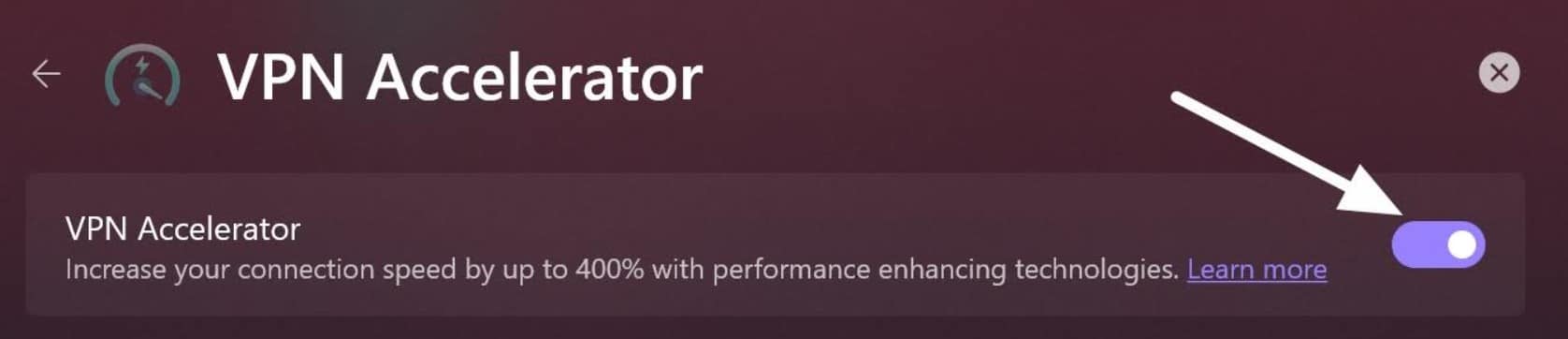 ProtonVPN VPN Accelerator